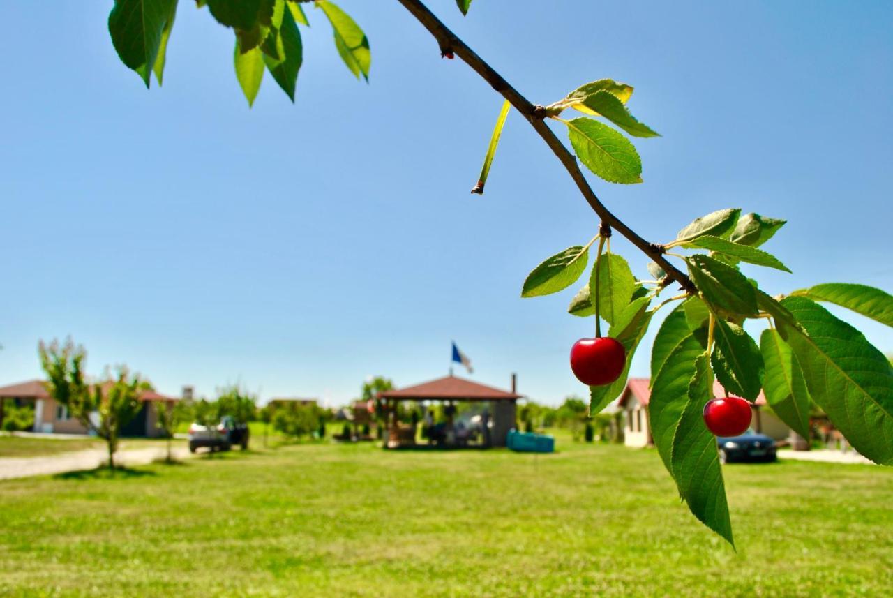 Camping La Foisor Турда Екстериор снимка